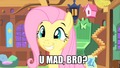 U MAD, BRO? - my-little-pony-friendship-is-magic photo