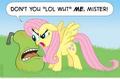 lol fluttershy - my-little-pony-friendship-is-magic photo