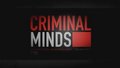 criminal-minds - 7x03 - Dorado Falls screencap