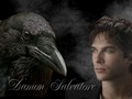 ian-somerhalder - Damon Salvatore wallpaper