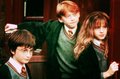 Harry,Ron and Hermione!So Young... - harry-potter photo