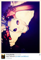 Paul Wesley Halloween - the-vampire-diaries-tv-show photo