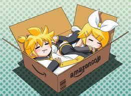  Rin & Len in a box