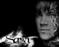 supernatural - Sammy wallpaper
