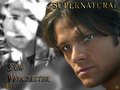 Sammy - supernatural wallpaper