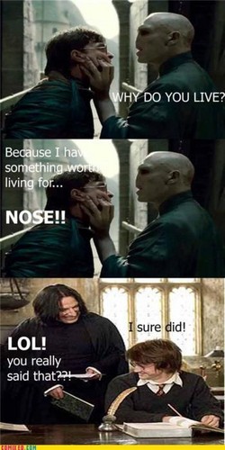  Snape Funnies