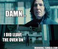 Snape Funnies - harry-potter photo