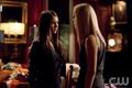 Ordinary People-Elena and Rebekah - the-vampire-diaries photo