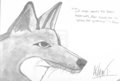 Wolf - alpha-and-omega fan art