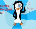 carlos penguin - fans-of-pom photo