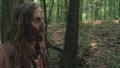 the-walking-dead - 2x01 - What Lies Ahead screencap
