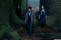 Deathly Hallows Movie Stills - harry-potter photo