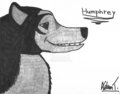 Humphrey - alpha-and-omega fan art