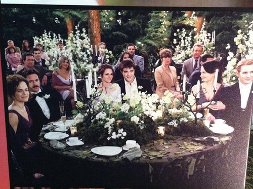  New Breaking Dawn Part 1 pic ♥