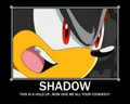 shadow-the-hedgehog - Noooo screencap