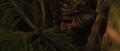the-chronicles-of-narnia - The Chronicles of Narnia: The Lion, The Witch & The Wardrobe screencap
