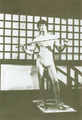 The Game of Death - bruce-lee photo