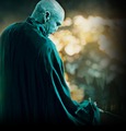 WB Campaign "Potter for Oscar" - harry-potter photo