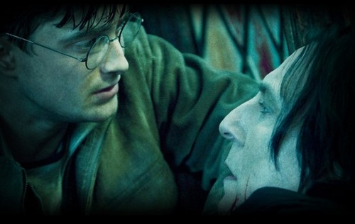  WB Campaign "Potter for Oscar"