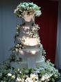 Wedding cake (better quality) - twilight-series photo