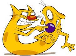 Catdog Pictures