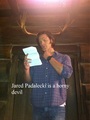 Jared Padalecki  - supernatural photo