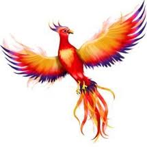  Phoenix the bird