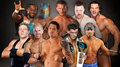 Survivor Series:Team Orton vs Team Barrett - wwe photo