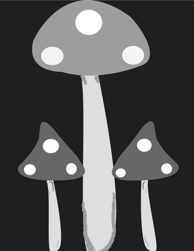  Symmetrical mushrooms