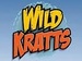 awsomeness! - the-wild-kratts icon