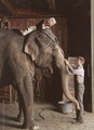 new WFE stills magazine scans - water-for-elephants photo