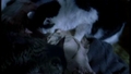 2x20- Cats in the Cradle - csi screencap