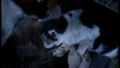 csi - 2x20- Cats in the Cradle screencap