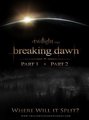 Imágenes y Posters Promocionales de Breaking Dawn (Amanecer) - twilight-series photo