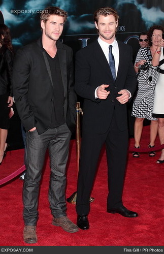 Liam Hemsworth and Chris Hemsworth