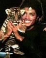 Thrillergirl18 images Michael Jackson with a baby tiger 