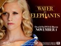 WFE promo poster - water-for-elephants photo
