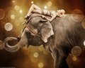 WFE promo posters - water-for-elephants photo