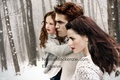 Wallpapers Fanmades - twilight-series photo