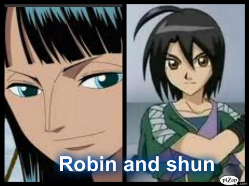 robin and shun