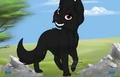 shadow as a puppy - alpha-and-omega fan art