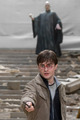 voldy and harry - harry-potter photo