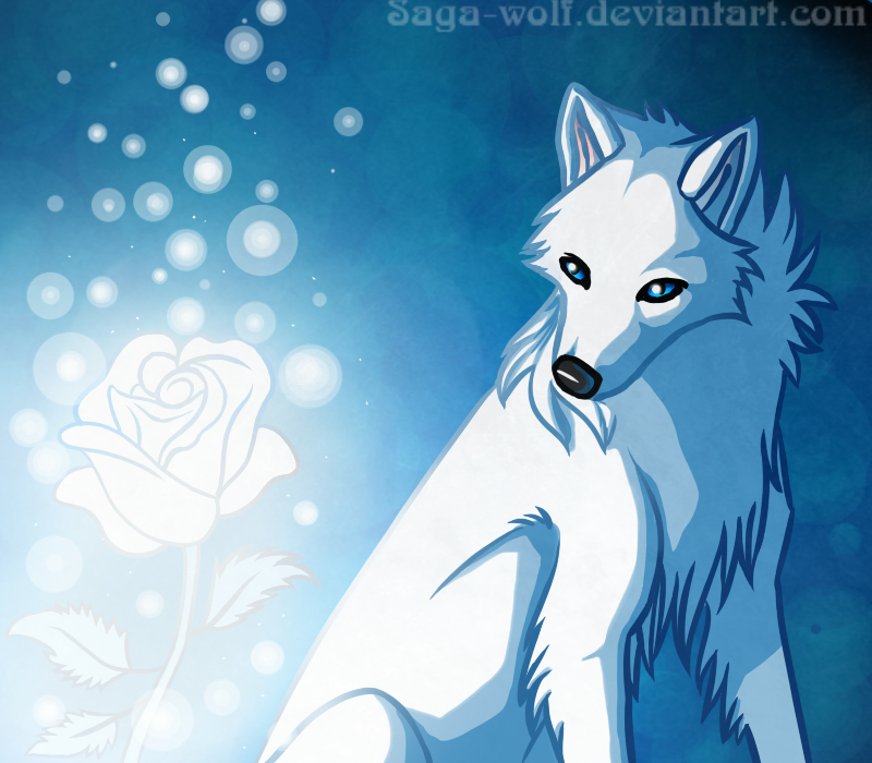 white wolf - Wolves Photo (26781316) - Fanpop
