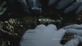 falling-skies - 1x08 - What Hides Beneath screencap