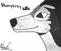 Humphrey - alpha-and-omega fan art