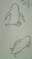 My drawings3 - penguins-of-madagascar fan art