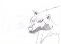 My first anime wolf - alpha-and-omega fan art