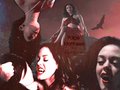 charmed - Paige as a vampire wallpaper