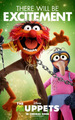 the Muppets [movie posters] - the-muppets photo