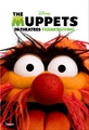 the Muppets [movie posters] - the-muppets photo
